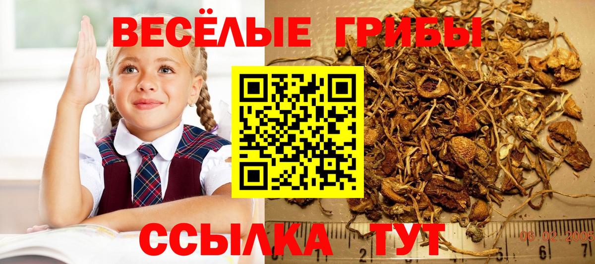 Галлюциногенные грибы GOLDEN TEACHER Нальчик